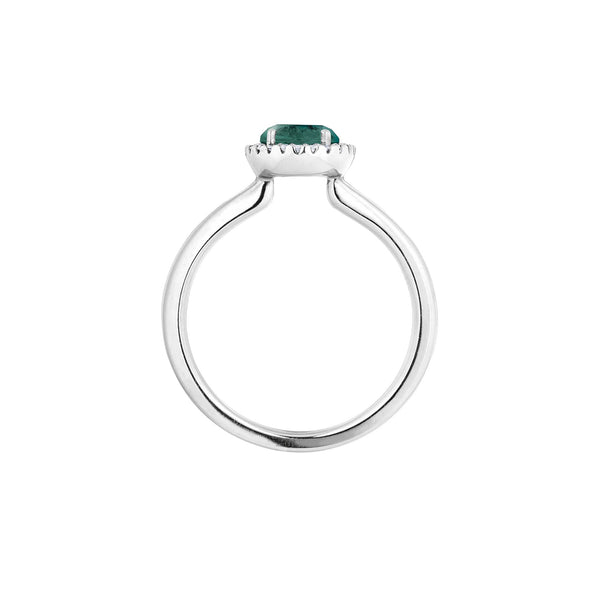 RI8TPE02395-M-_Capolavoro_Ring_750-Weissgold-Diamanten-Turmalin-petrol_Seite_Kempkens-Juweliere