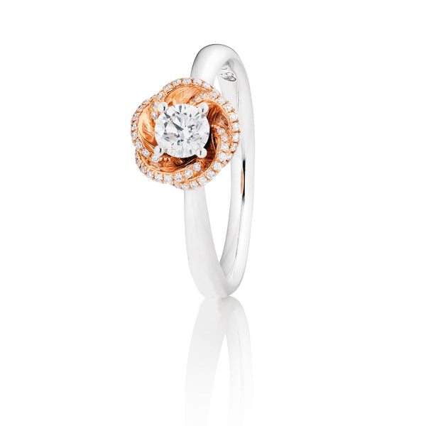 Capolavoro - Ring - Rose Dream