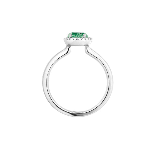 Ring - Espressivo